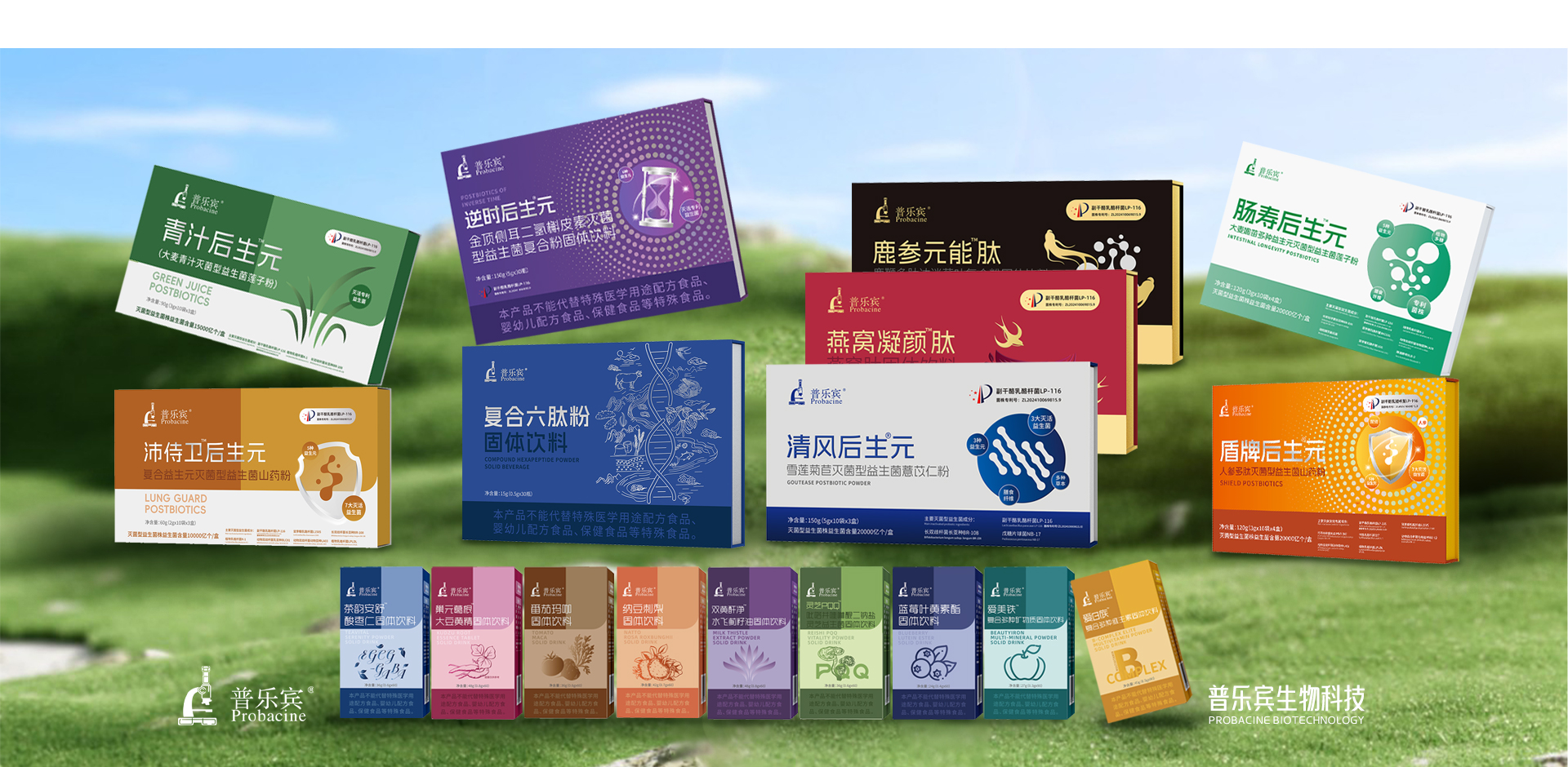 首页轮播-5
